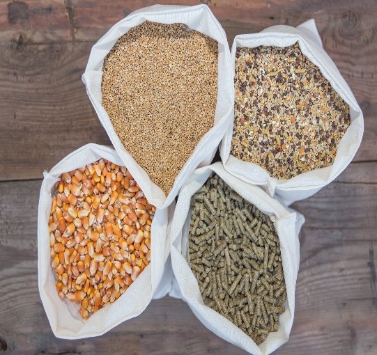Livestock Feed